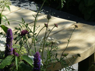 <a href="https://www.pinterest.co.uk/pin/279786195578706706/">
                  </a>
                  Wildflower planting against green oak bench. RHS Tatton Park.