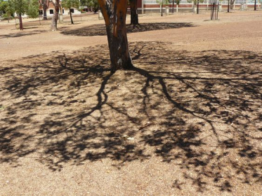 <a href="https://www.pinterest.co.uk/pin/279786195578726613/">
                  </a>
                  Tree shadows - Western Australia