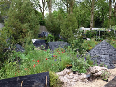 <a href="https://www.pinterest.co.uk/pin/279786195579626198/">
                  </a>
                  May 2016 - RHS Chelsea RBC garden - it's taking shape.